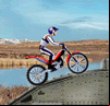 Bike Mania 5