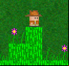 Harvey Tumblestump